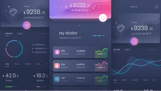 Steadvane Reserve dashboard for trading analytics displaying performance insights
